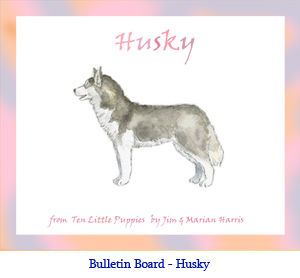 Bulletin board art of a Husky dog.  Original art by Jim Harris from the children’s book, Ten Little Puppies.